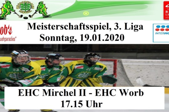 Meisterschaftsspiel 3. Liga, 19.01.2020.jpg