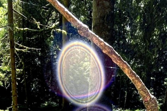 thumbnail_image0.jpg