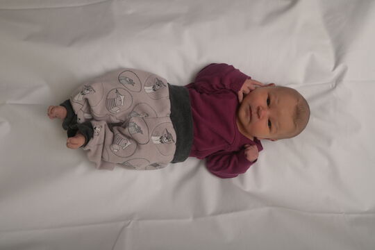 Geissb&uuml;hler Malea w Oberh&uuml;nigen 02 02 2026