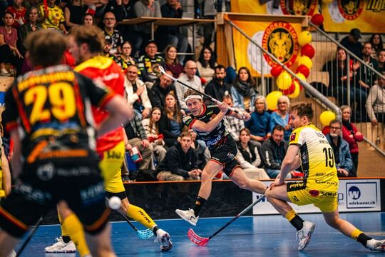 Bild Unihockey Tigers in R&uuml;cklage