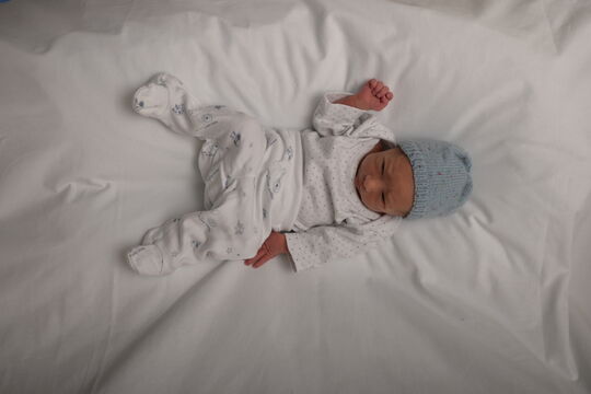 V&ouml;geli Livio m Mirchel 16 12 2025