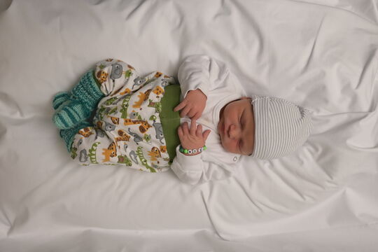 Wolf Leon m Arni BE 08 01 2026