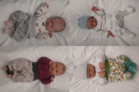 Bild Vier Neugeborene in der Region