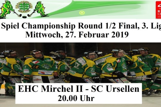 2. Spiel Championship 1.2 Final 3.Liga, 24.02.19.jpg