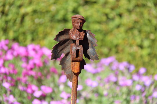 IMG_6540.jpg