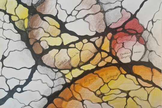 1_2 Absichtscheck Baisis PPP.jpeg