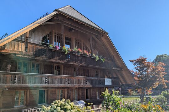 PXL_20260808_070750891.jpg
