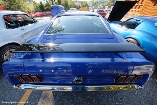 c7ff651f261053d6fabca962a5605a86.jpg