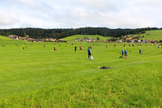 volles Hämlismattmoos
