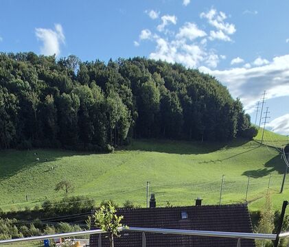 20250911_171832.jpg