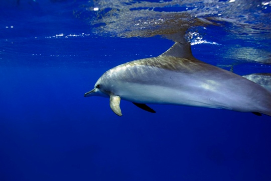 360_small_IA0661.jpg