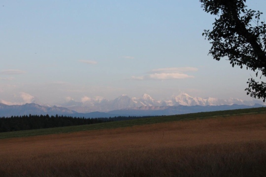 c9b7092567fe853c7a27763109833820.jpg