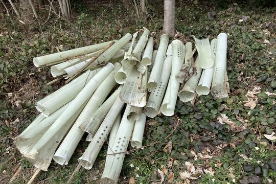 Bild Warum Plastikh&uuml;llen oft im Wald liegen bleiben