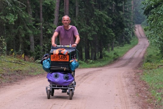 Wald in Lettland