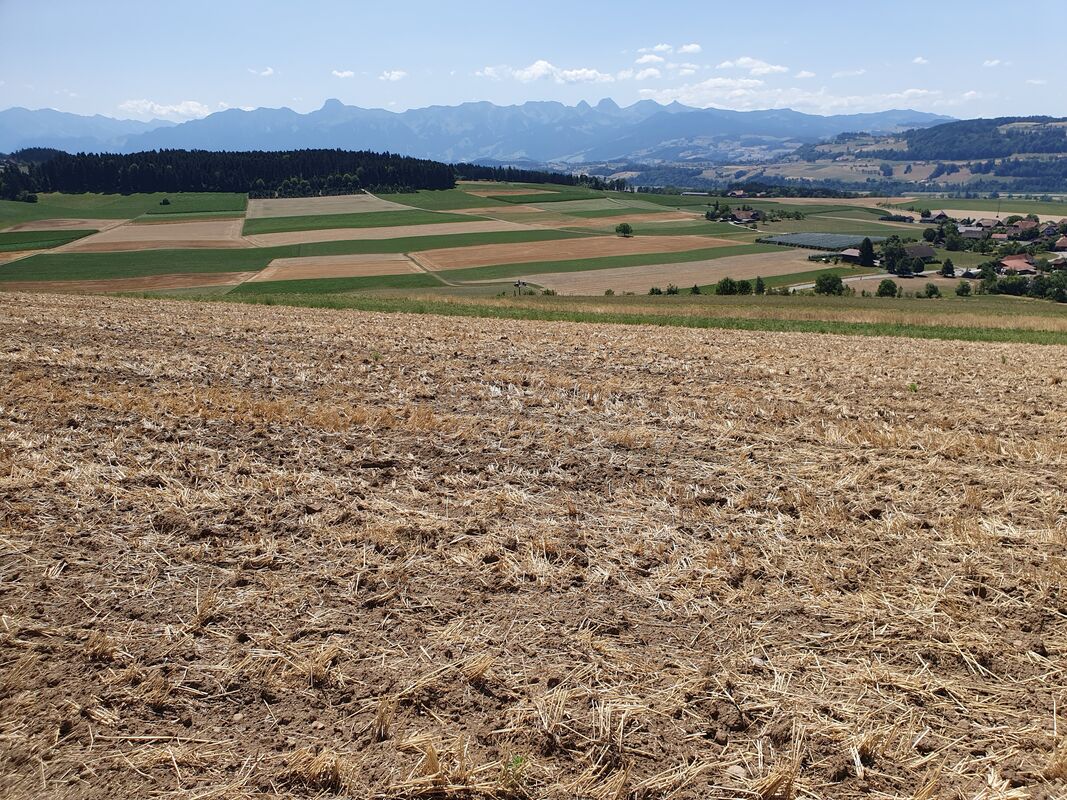 image 992548