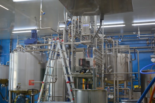 New Roots Produktion