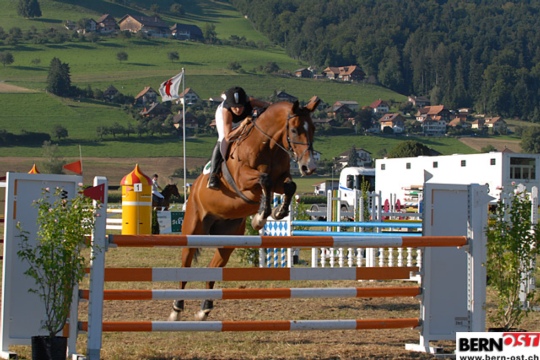 ccca50c52f17ad9cb91b248273ccc541.jpg