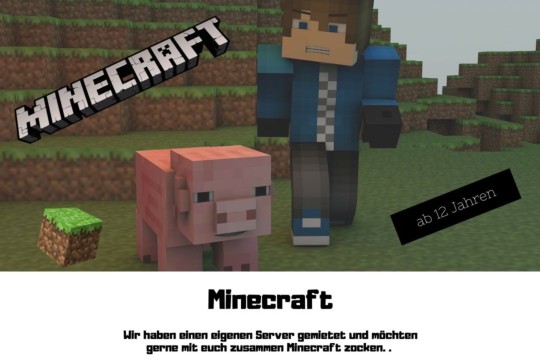 Flyer Minecraft2