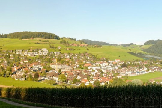 bild1