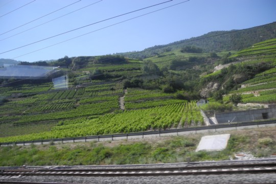 DSCN3326