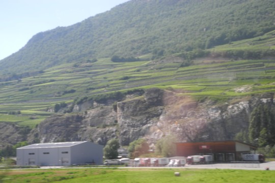 DSCN3328