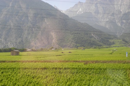 DSCN3332
