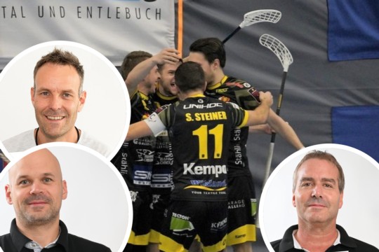 tigers-High-Quality (2)