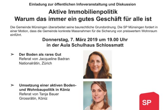 Info-Flyer Wohnungspolitik.jpg
