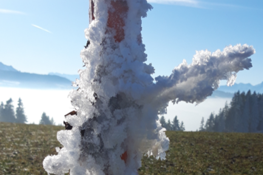 Bild Die Altjahrswoche im Bild