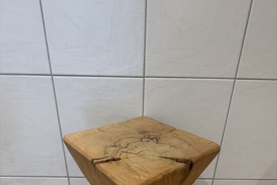 IMG_4501.jpeg