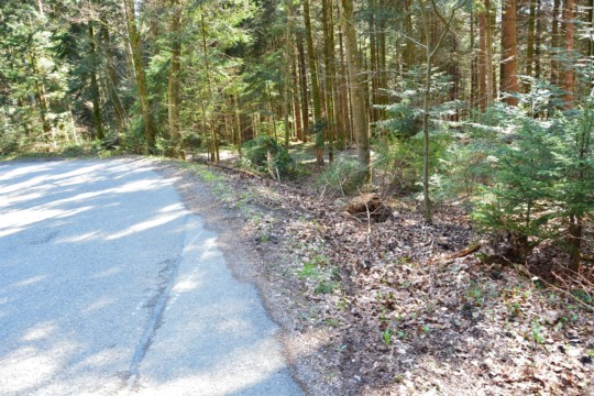 Wald1