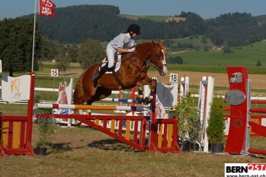 ceecac1245ebfb6bda768c1aa5f16b2d.jpg
