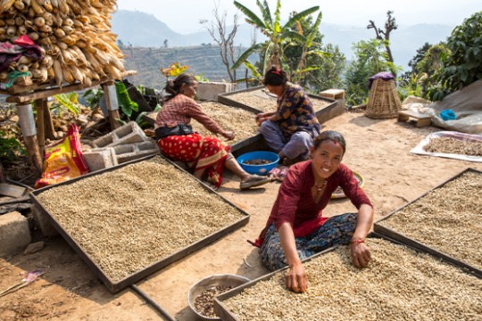 lALITPUR kAFFEE.jpg