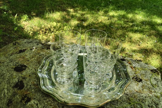20220515_155017.jpg