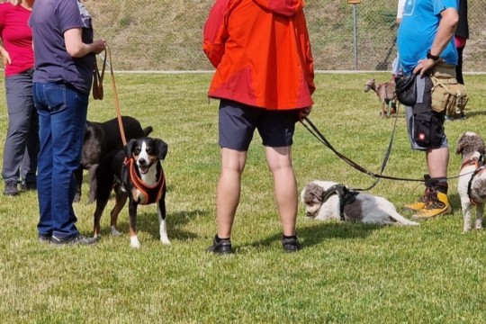 Screenshot_20231004-172614_Samsung Internet.jpeg