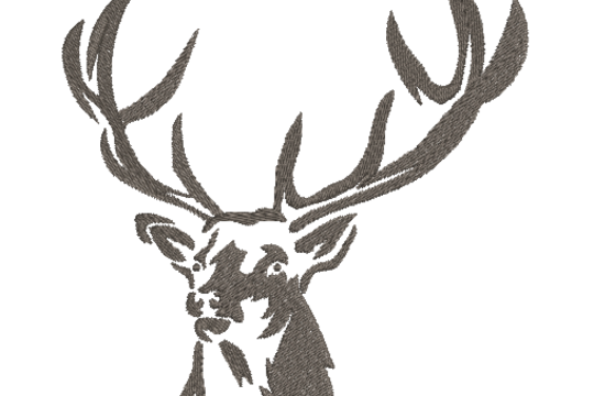 hirsch.png