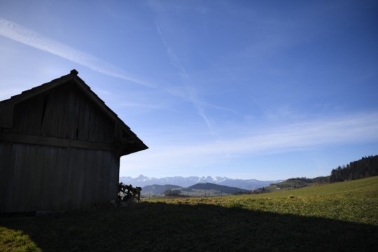 DSC_9955