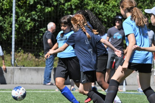 DSC_4510 (2)