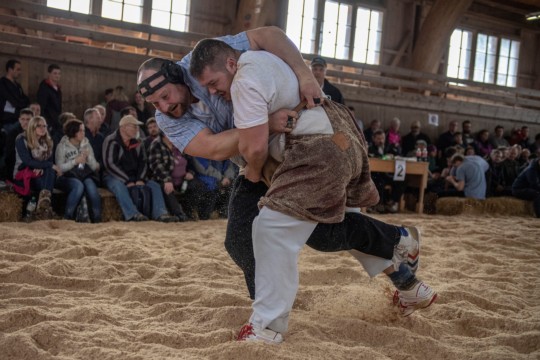 Schwingen 1