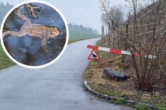 Vorlage Startseite copy (547)-High-Quality