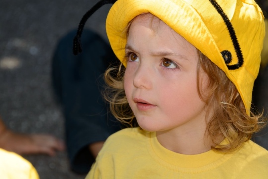 d23335a3c336ffa46be53235ba7c78e8.jpg