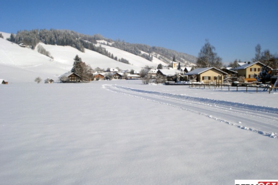 d260d220ef02ae1fdcc64e43b04da980.jpg