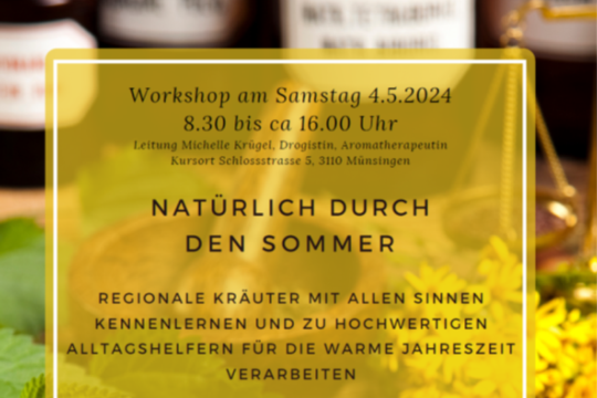 Sommerworkshop.png