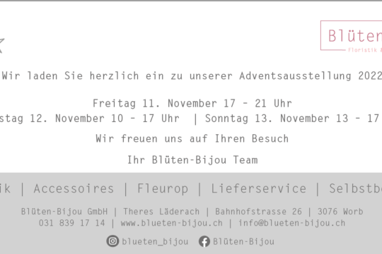 Flyer 2.png