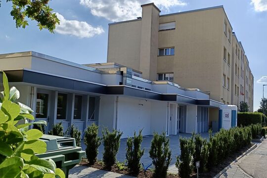 Postillion bepflanzt 2