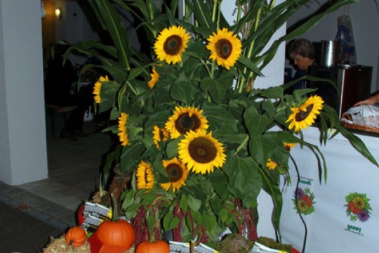 d2b3d4d732816bfa63662d47e27a168f.jpg