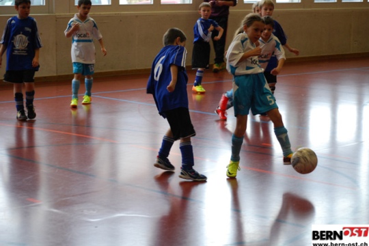 d2b4ee2e8461a10214b259657e65f36d.jpg