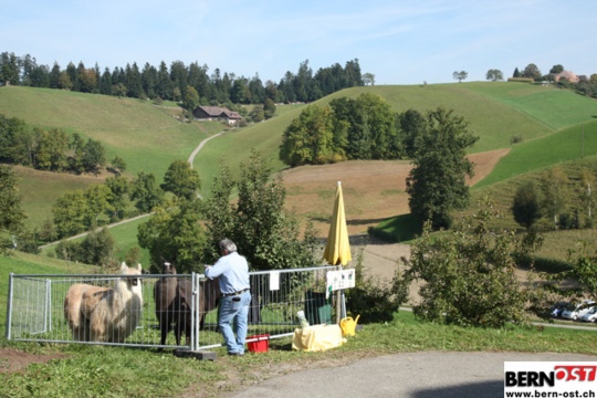 d2b90442c61f2d5499a25a6e1efae34e.jpg