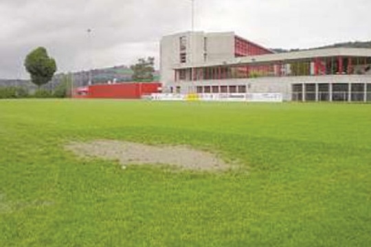 d2b9fb9ab265506401cadadeefe1bc48.jpg