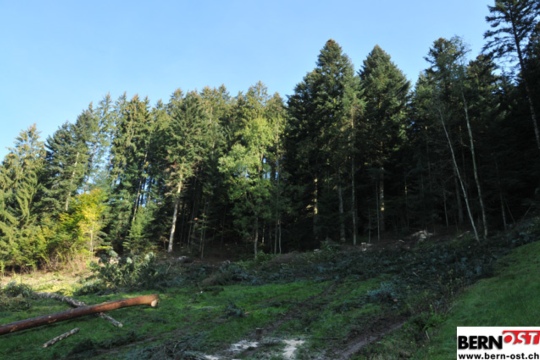 d2c8914692bf4542c6525035069b60f8.jpg